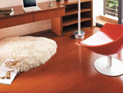 ʥ��ȫ�����ه��H���M(j��n)��