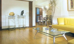 2009��ذ��ИI(y��)�l(f��)չ�΄�֔(j��n)�����^